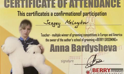 Participation - Master class in Israel from Anna Bardysheva