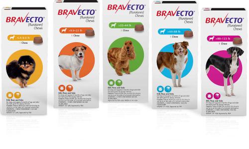 From what age a Bravecto pill can be given?